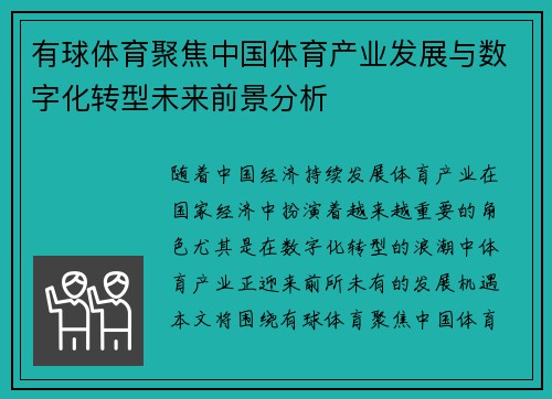 有球体育聚焦中国体育产业发展与数字化转型未来前景分析